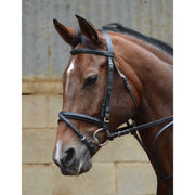 Equisential Bridle & Rein