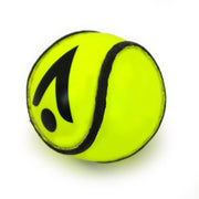 Karakal Training Sliotar