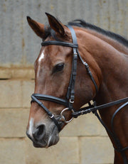 Equisential Bridle & Rein
