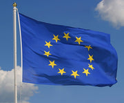 Prospect Design Woven Flag