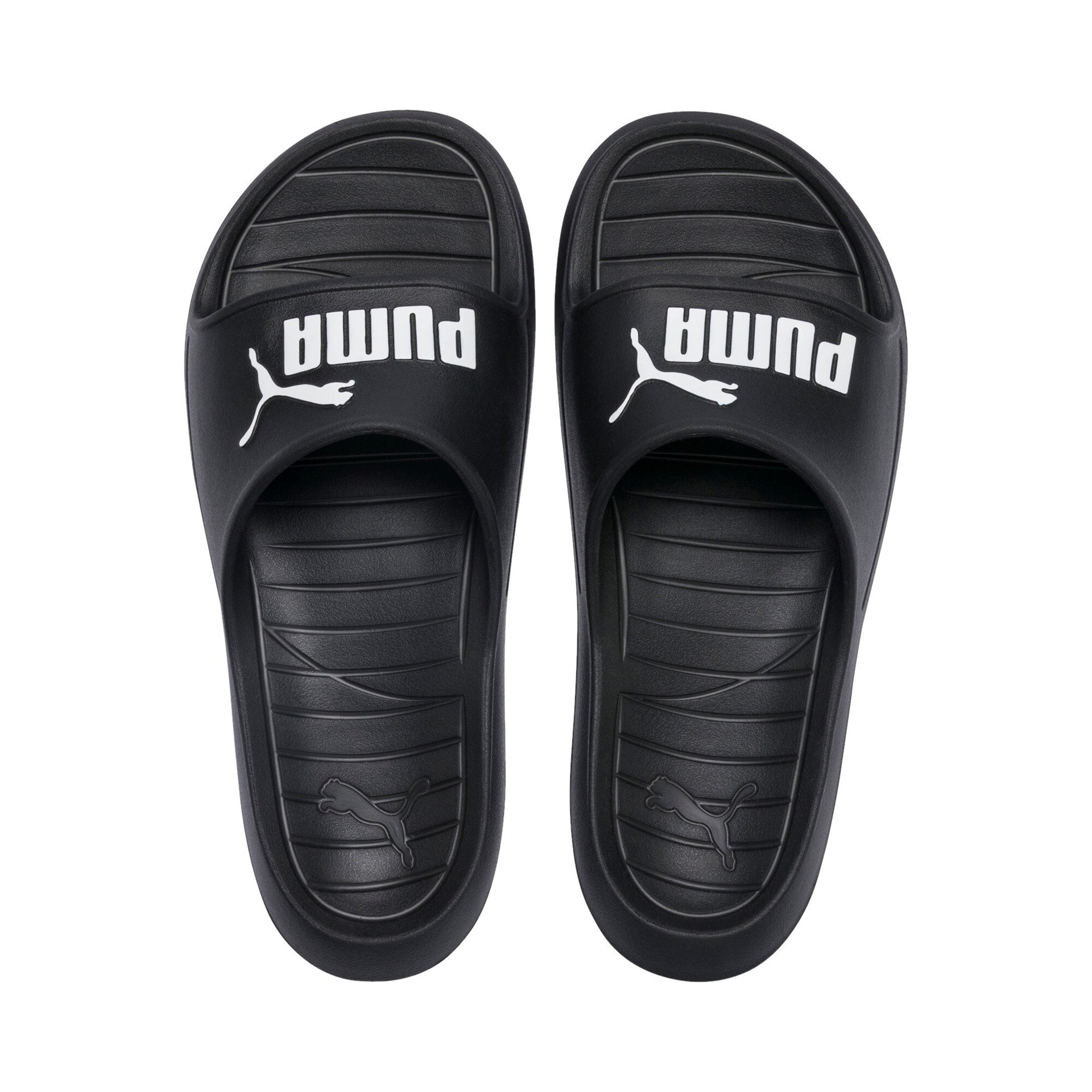 Puma Divecat v2