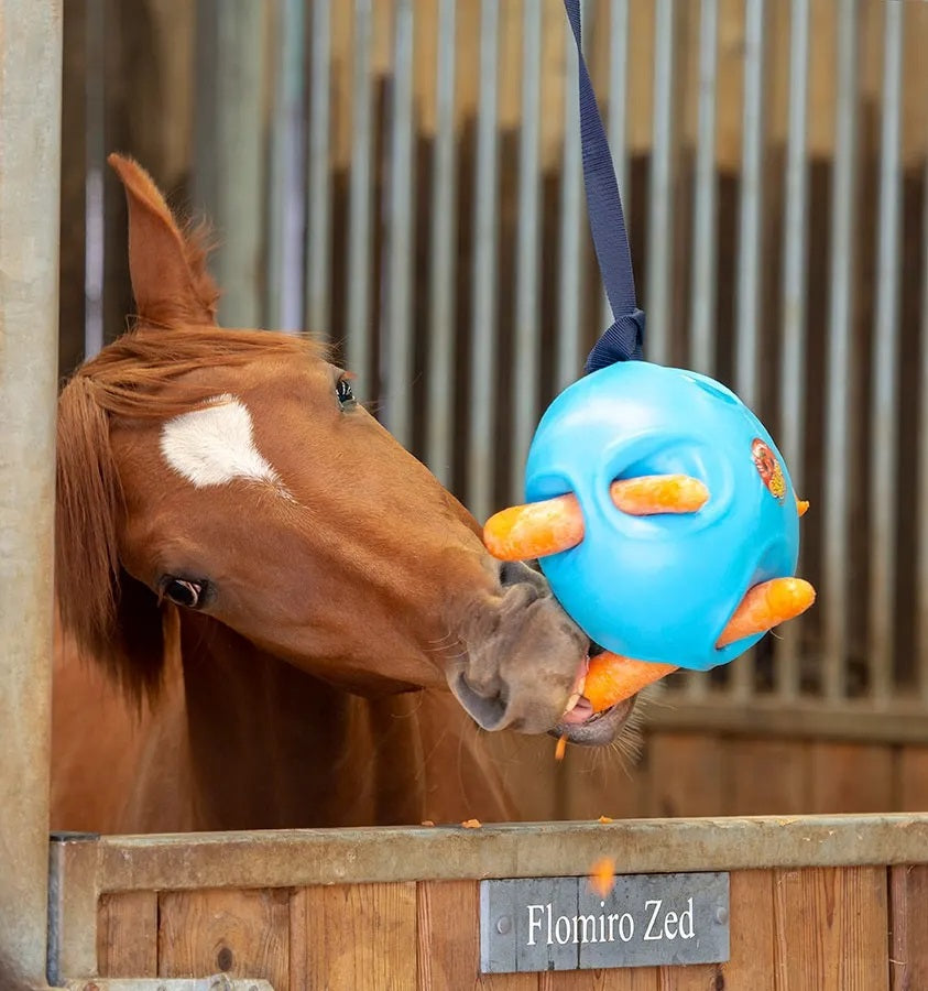 Shires Carrot Ball