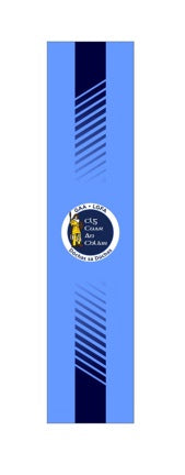 CS Teamwear Cooraclare Training Shorts