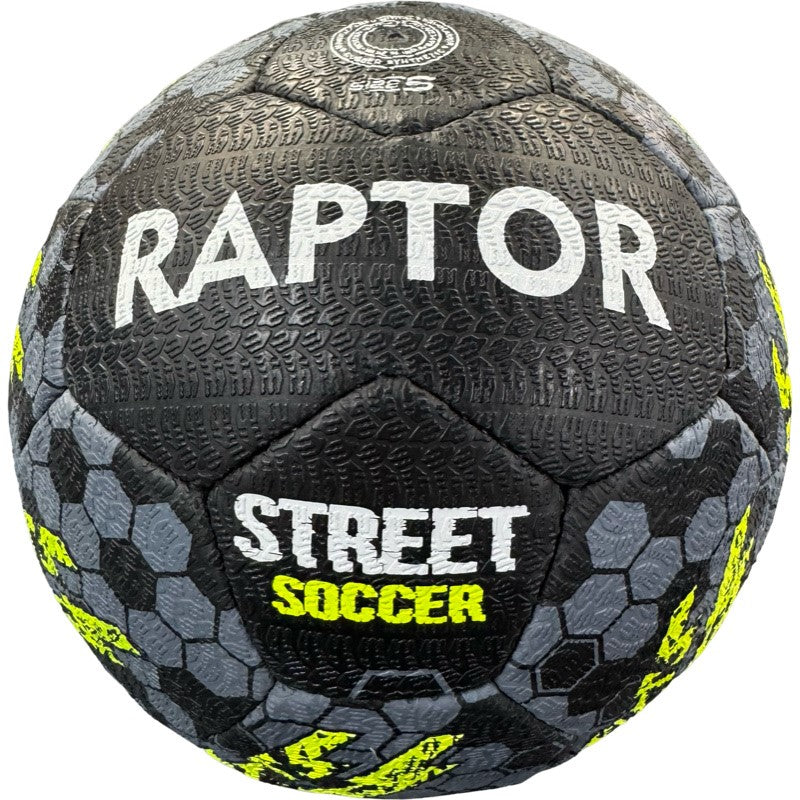 Raptor Street Ball