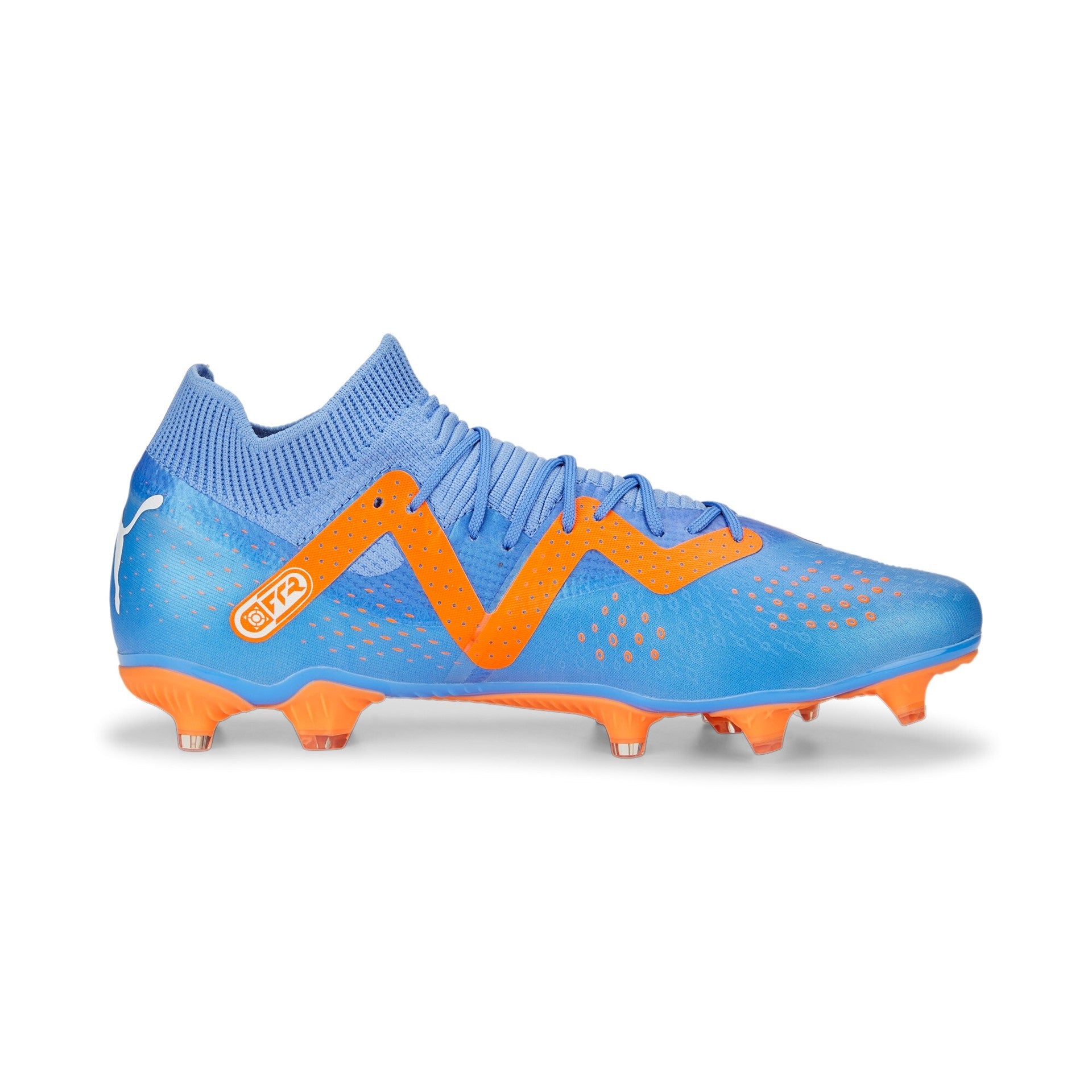 Puma Future Match Firm Ground