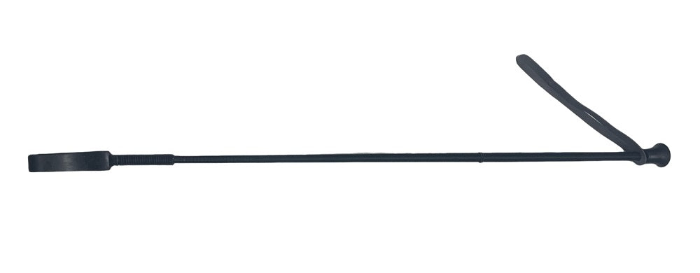 Equisential Economy Whip