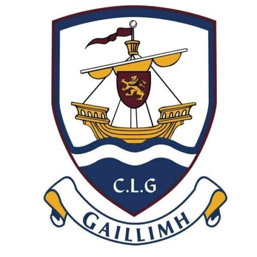 Team Car Flag Galway Flag Crested 5X3