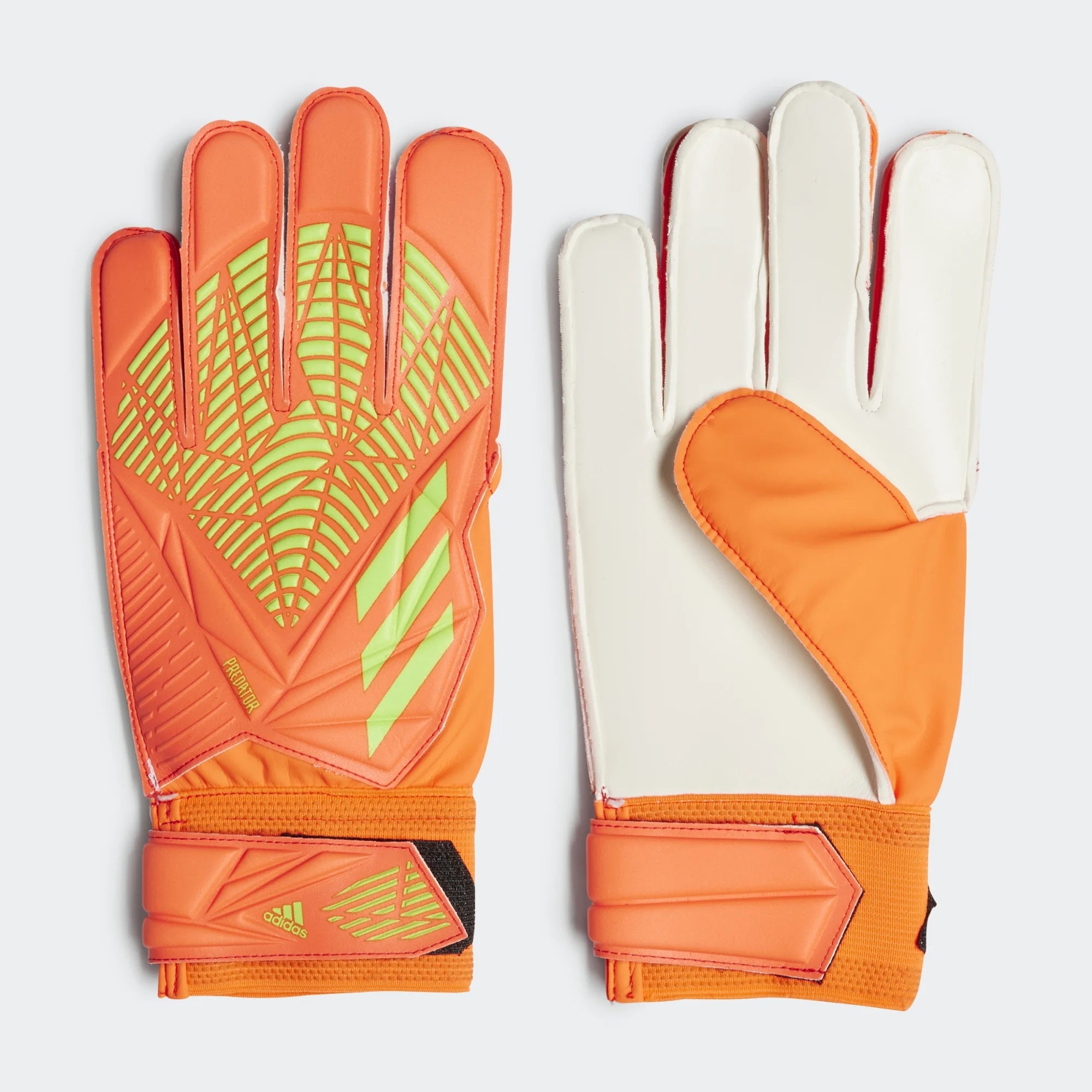 Adidas Predator Training