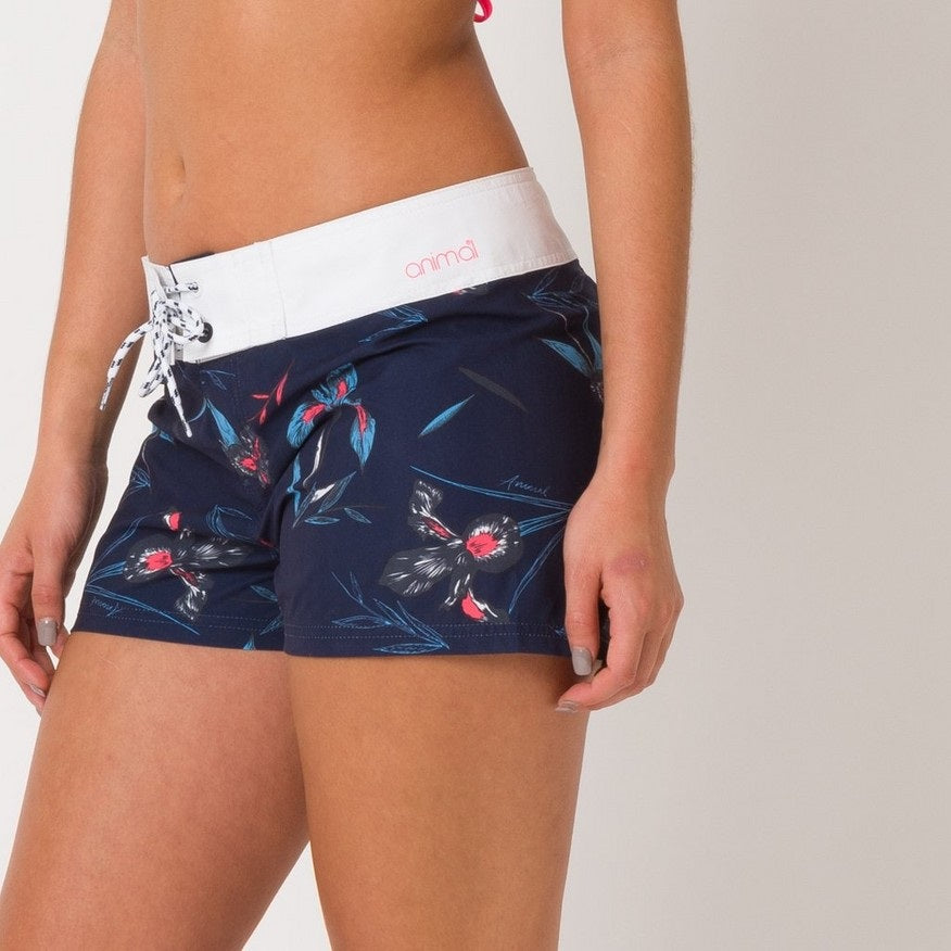 Animal Fianno Boardshorts