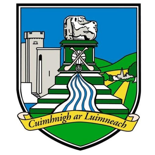 Team Car Flag Limerick Flag Crested 5X3