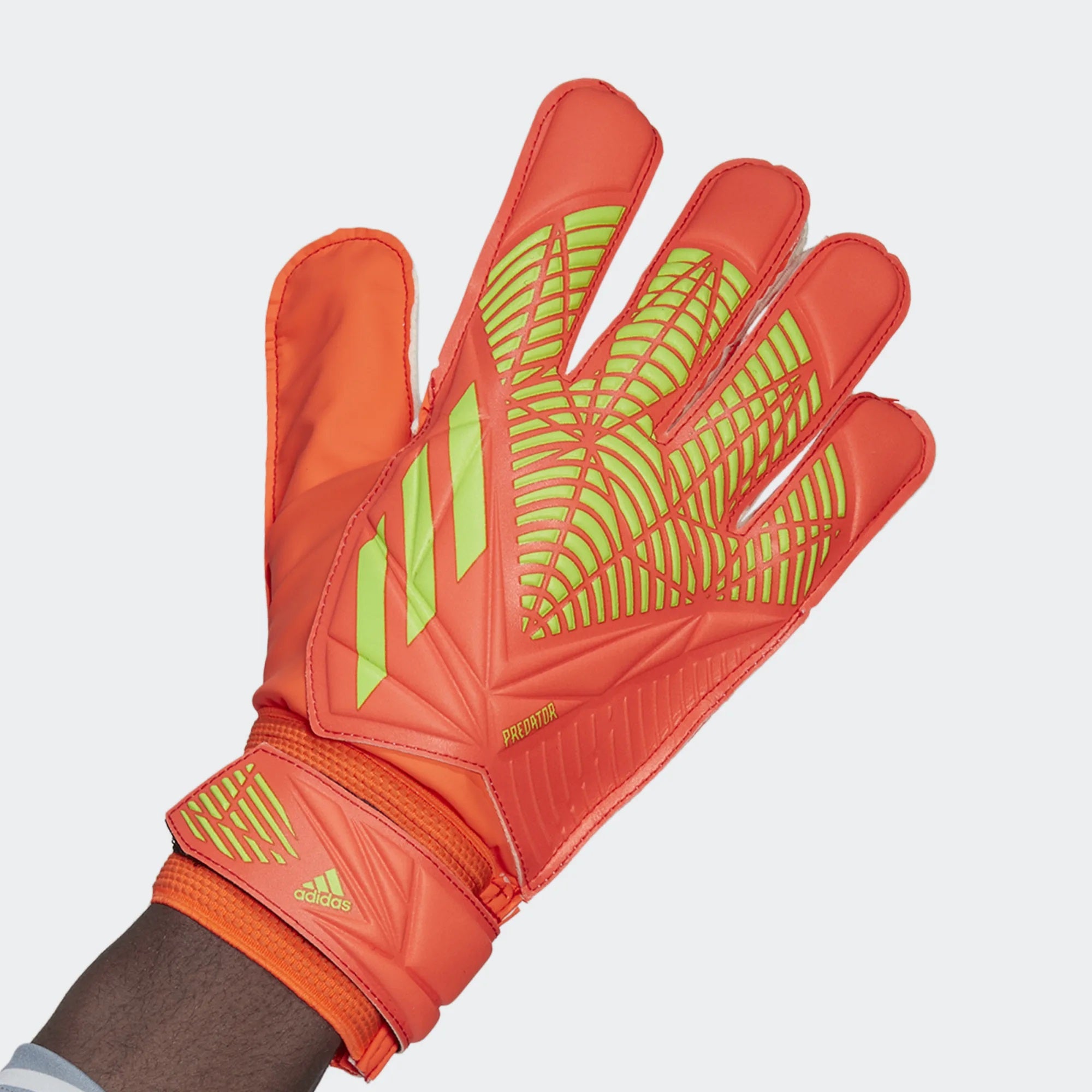 Adidas Predator Training