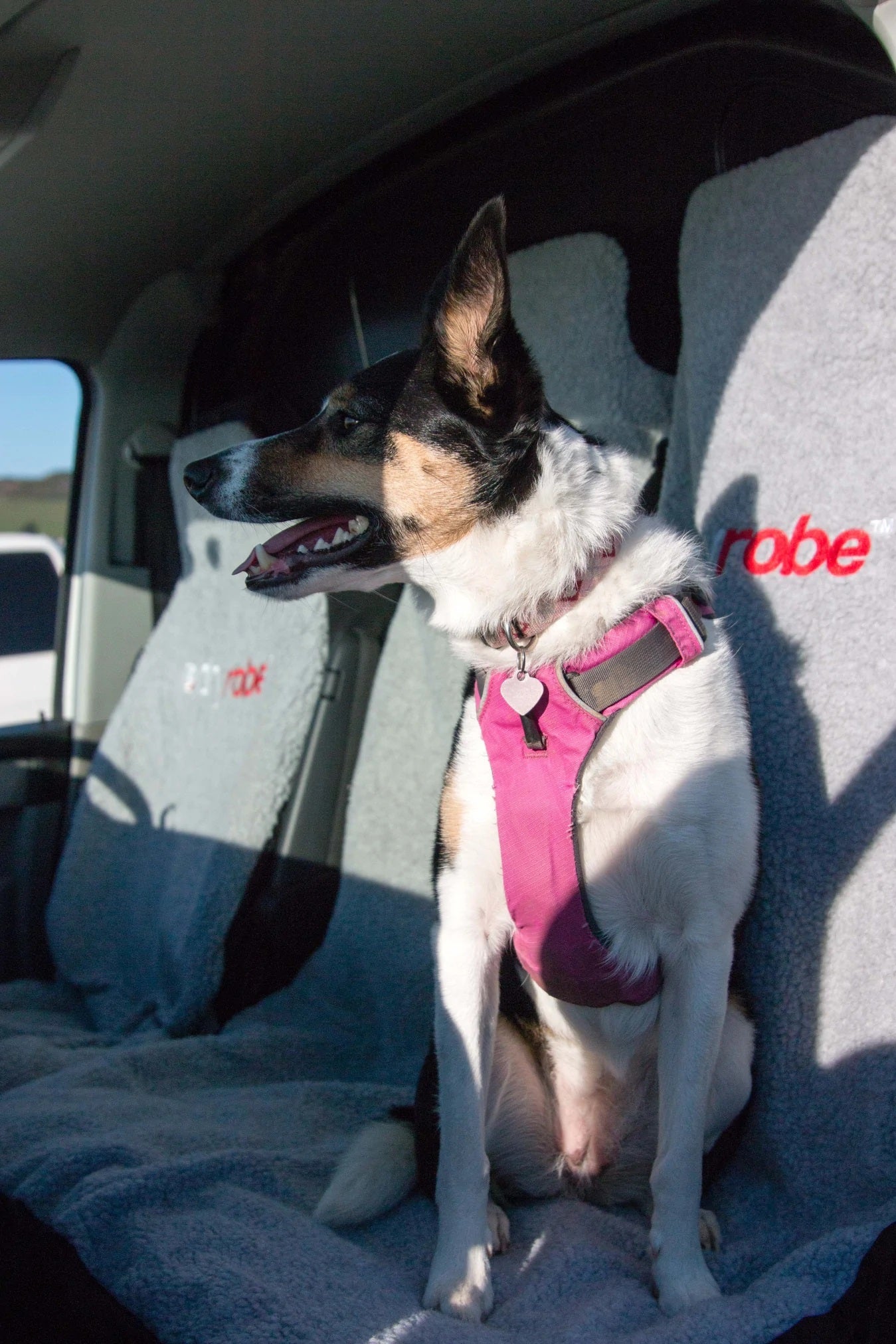 Dryrobe Seat Cover