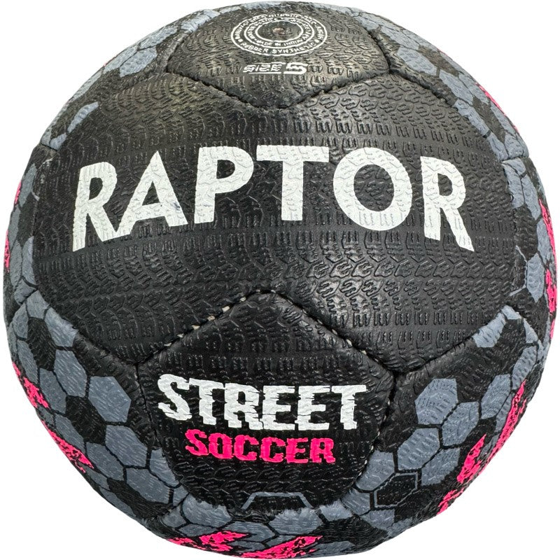 Raptor Street Ball