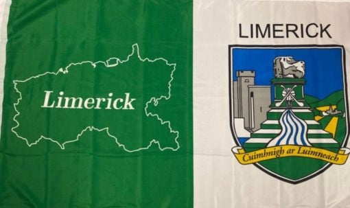 Team Car Flag Limerick Flag Crested 5X3