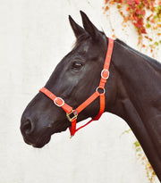 Equisential Nylon Headcollar