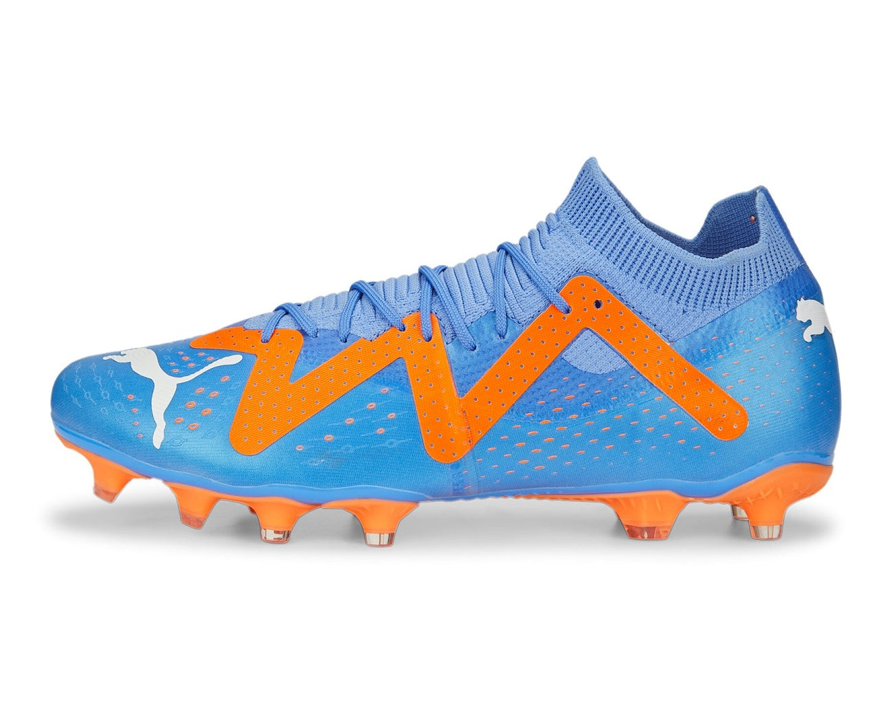 Puma Future Match Firm Ground
