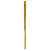 TCF Bamboo Flag Pole